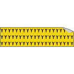 900Y