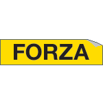 9120A - Foglio n. 1 etichette adesive FORZA
