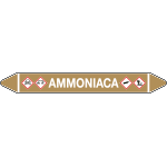 99B282D - Etichetta singola autoadesiva con frecce e simboli per AMMONIACA