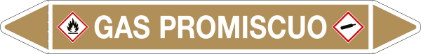99C670A - foglio da 5 etichette autoadesive con frecce e simboli GAS PROMISCUO