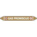 99C670D - Etichetta singola autoadesiva con frecce e simboli GAS PROMISCUO