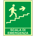 L20134XP - Cartello fotoluminescente scala emergenza salita ds