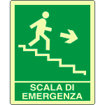 L20135XP - Cartello fotoluminescente scala emergenza discesa ds