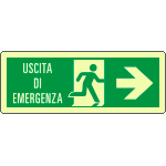 [EL720102KA] EL720102KA - cartello luminescente DIN PLUS uscita di emergenza freccia dx