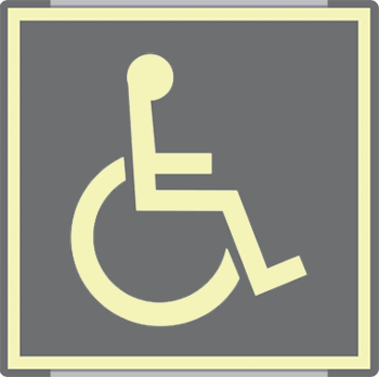 [SEML15653AC] SEML15653AC - targa monofacciale fotoluminescente METAL Toilette disabili