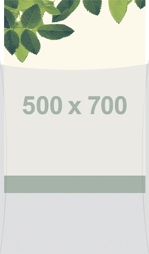 [SMBT2] SMBT2 - busta per protezione frontale per foglio 500x700