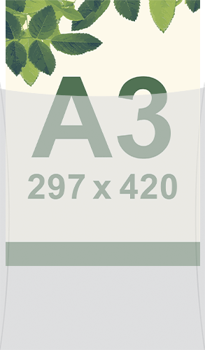 [SMBT3] SMBT3 - busta per protezione frontale per foglio A3 297x420