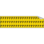 [900P] 900P