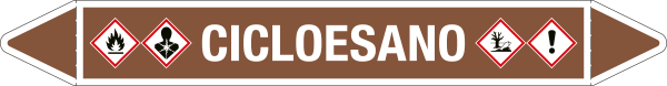 [99A481B] 99A481B - foglio da 5 etichette autoadesive con frecce e simboli per CICLOESANO