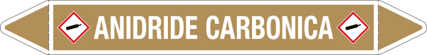 [99A891C] 99A891C - Etichetta singola autoadesiva con frecce e simboli ANIDRIDE CARBONICA