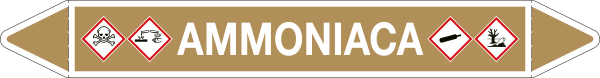 [99B282C] 99B282C - Etichetta singola autoadesiva con frecce e simboli per AMMONIACA